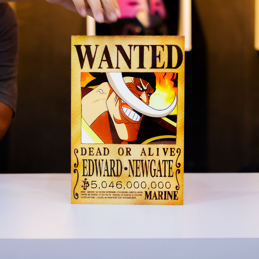 Cuadro Metálico Barba Blanca