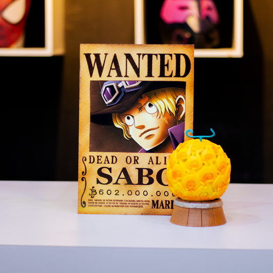 Cuadro Metálico Sabo y Mera Mera no Mi