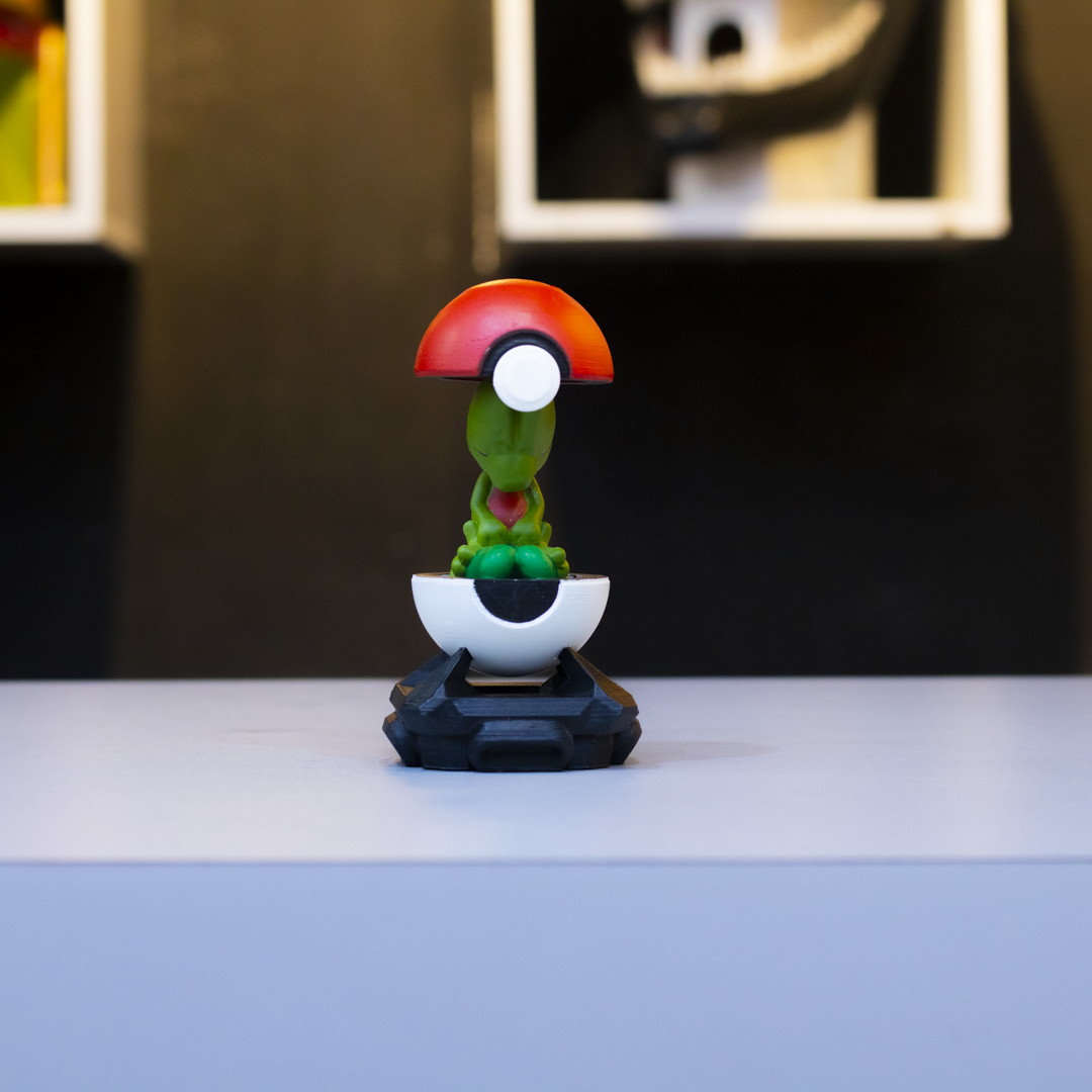 Treecko | Pokémon en Cápsula
