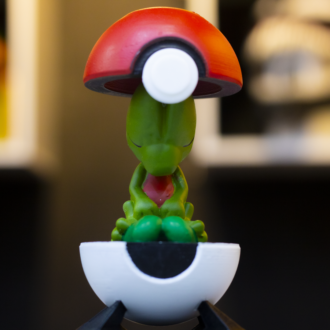 Treecko | Pokémon en Cápsula