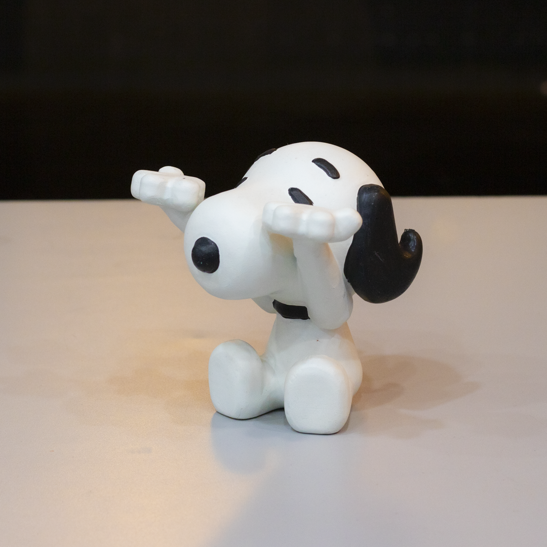Snoopy | Porta Lentes